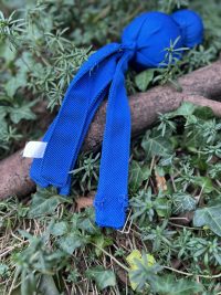 img_6154 Kong wubba bleu