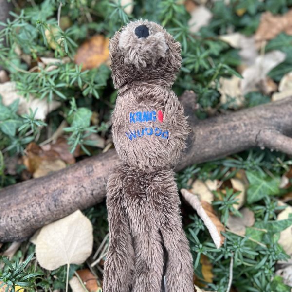 Kong wubba Ours