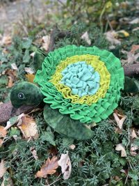 Tortue de fouille Anione