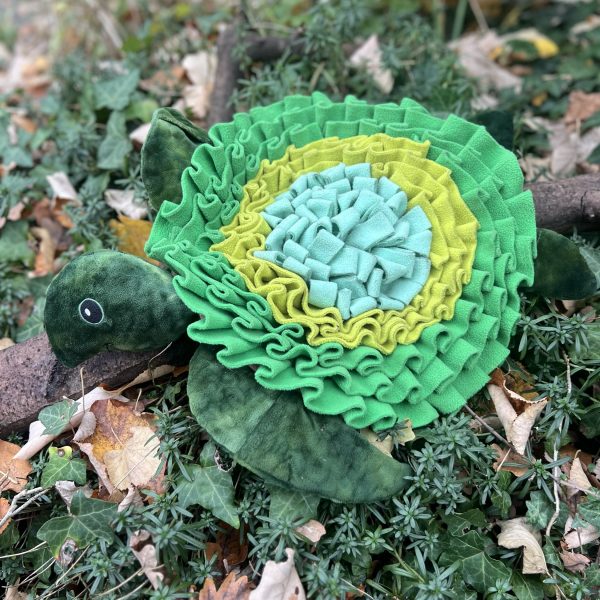 Tortue de fouille Anione