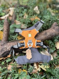 img_6502 Harnais Ruffwear XS Front Range