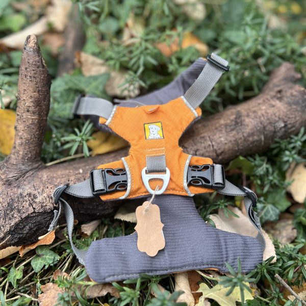 Harnais Ruffwear XS Front Range
