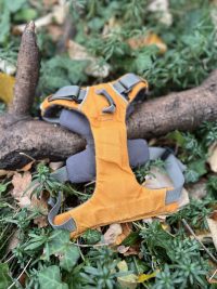 img_6503 Harnais Ruffwear XS Front Range