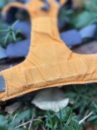 img_6504 Harnais Ruffwear XS Front Range