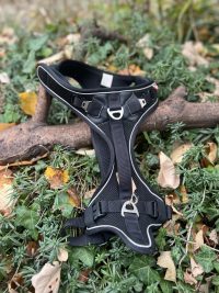 Harnais Curli Belka L