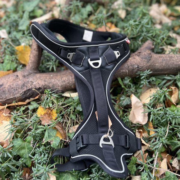 Harnais Curli Belka L