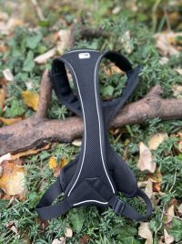 Harnais Curli Belka L