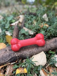 Kong Goodie Bone