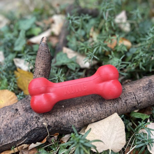 Kong Goodie Bone