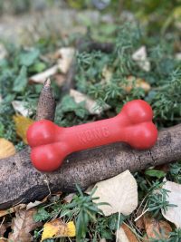 Kong goodie bone XL