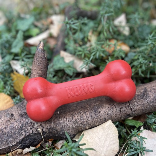 Kong goodie bone XL