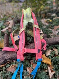 Harnais traction Non stop T6 5.0