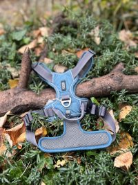 Harnais Dog Copenhagen M