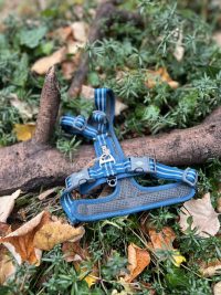 Harnais Dog Copenhagen S