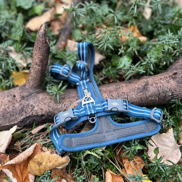 Harnais Dog Copenhagen S