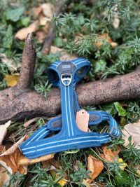 Harnais Dog Copenhagen S