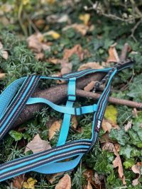 Harnais de traction Idog 30-35kg