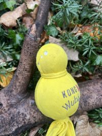 Kong wubba jaune