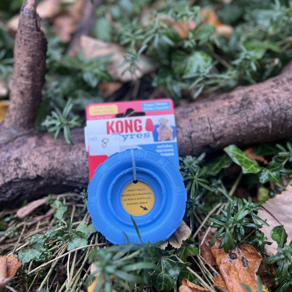 Kong Tire S puppy