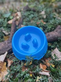 Gamelle antiglouton bleue