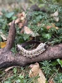 Collier Biothane/paracorde 37-43