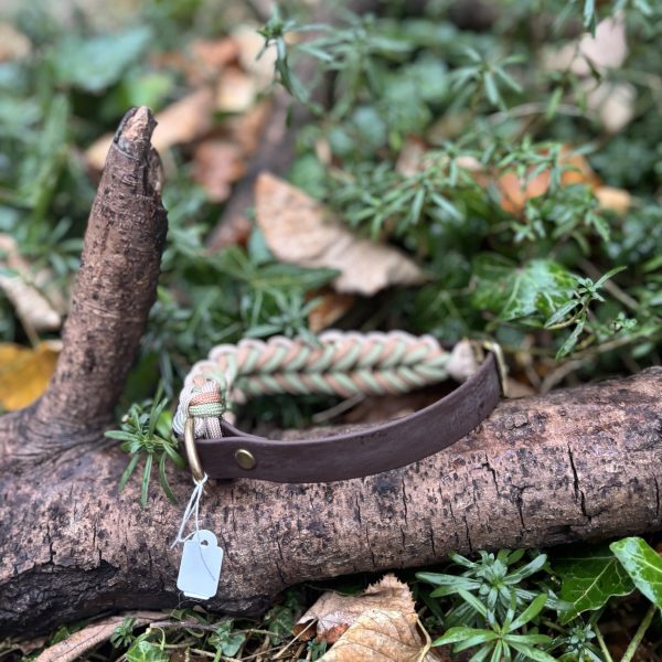 Collier Biothane/paracorde 37-43