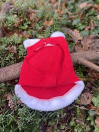 Manteau de père noël